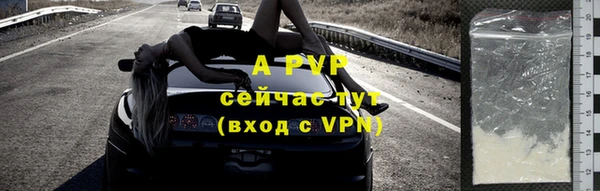 2c-b Бородино