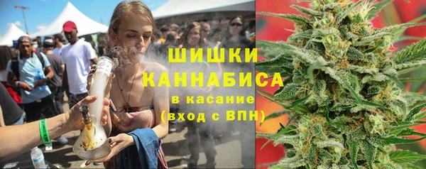 2c-b Бородино