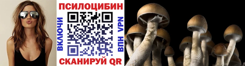 Купить  Кондрово  Псилоцибиновые грибы Psilocybine cubensis 